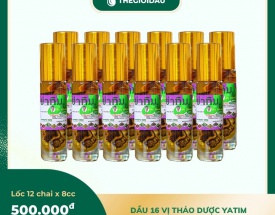Dầu 16 vị thảo dược bán sỉ dạng lốc, thùng giá tốt | Dauthaoduoc.net