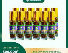 Dầu 19 vị thảo dược bán sỉ dạng lốc, thùng giá tốt | Dauthaoduoc.net