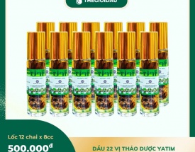 Dầu 22 vị thảo dược bán sỉ dạng lốc, thùng giá tốt | Dauthaoduoc.net