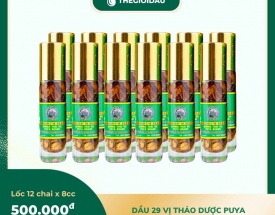Dầu 29 vị thảo dược bán sỉ dạng lốc, thùng giá tốt | Dauthaoduoc.net