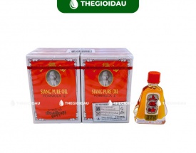 Dầu gió Nhị Thiên Đường 7ml bán sỉ dạng lốc, thùng giá tốt | Dauthaoduoc.net