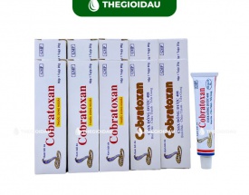 Dầu nóng xoa bóp hỗ trợ đau nhức xương khớp Cobratoxan 20g bán sỉ dạng lốc, thùng giá tốt | Dauthaoduoc.net