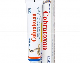 Dầu nóng hỗ trợ đau nhức xương khớp Cobratoxan 20g bán sỉ dạng lốc, thùng giá tốt | Dauthaoduoc.net