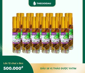 Dầu 16 vị thảo dược bán sỉ dạng lốc, thùng giá tốt | Dauthaoduoc.net