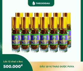 Dầu 19 vị thảo dược bán sỉ dạng lốc, thùng giá tốt | Dauthaoduoc.net