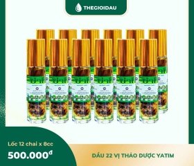 Dầu 22 vị thảo dược bán sỉ dạng lốc, thùng giá tốt | Dauthaoduoc.net