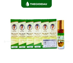 Dầu 22 vị thảo dược bán sỉ dạng lốc, thùng giá tốt | Dauthaoduoc.net
