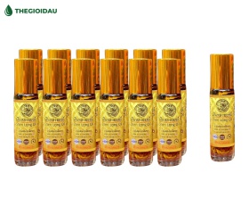Dầu 22 vị thảo dược Shen Long bán sỉ dạng lốc, thùng giá tốt | Dauthaoduoc.net