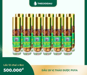 Dầu 29 vị thảo dược bán sỉ dạng lốc, thùng giá tốt | Dauthaoduoc.net