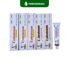 Dầu nóng xoa bóp hỗ trợ đau nhức xương khớp Cobratoxan 20g bán sỉ dạng lốc, thùng giá tốt | Dauthaoduoc.net